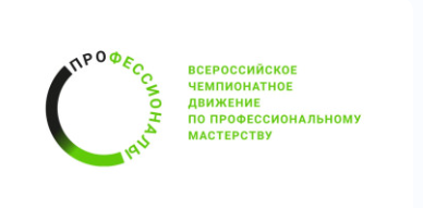 Движение "Профессионалы".